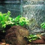 Aeration in an aquarium (oxygen, air): what is it and what is it for, air supply for fish, do it yourself (how to do it), is it necessary, methods (plants, snails, compressors, sprayers, filter, pump, hose, sprayer), without electricity (hydrogen peroxide, tablets, oxidizers, ozonation), content rate, excess