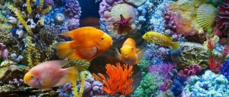 An aquarium is an integral, almost closed biological system