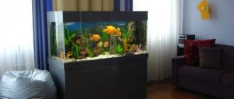 Aquarium in the apartment. Benefits and harms read the article 