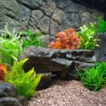 artificial plants for aquarium