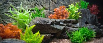 artificial plants for aquarium