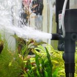 How to properly install an aquarium pump? | RibnyDom.RU 