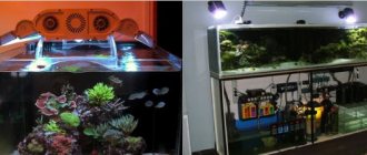 How to install an aquarium at home yourself