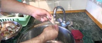 мытье ракушек