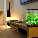 Small aquarium on the desktop