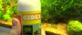 «Сайдекс» для борьбы с водорослями в аквариуме