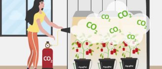 CO 2 in the greenhouse and grow box