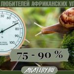 Humidity level in the terrarium with the Achatina snail