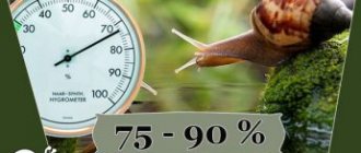 Humidity level in the terrarium with the Achatina snail